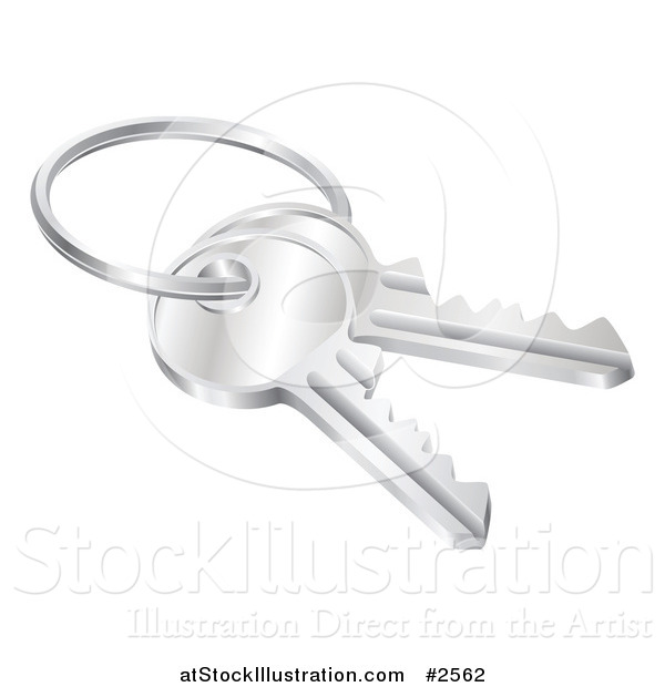 Vector Illustration of 3d Silver Keys on a Ring