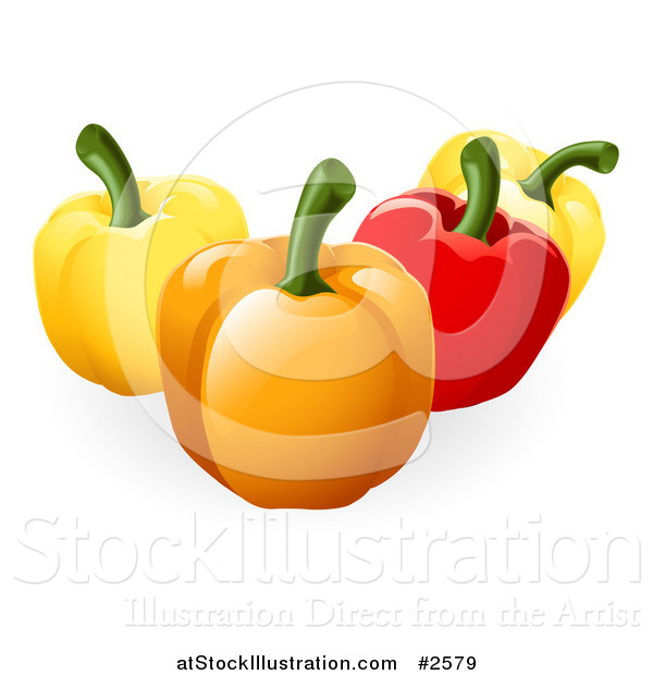 Vector Illustration of 3d Yellow Orange and Red Bell Peppers