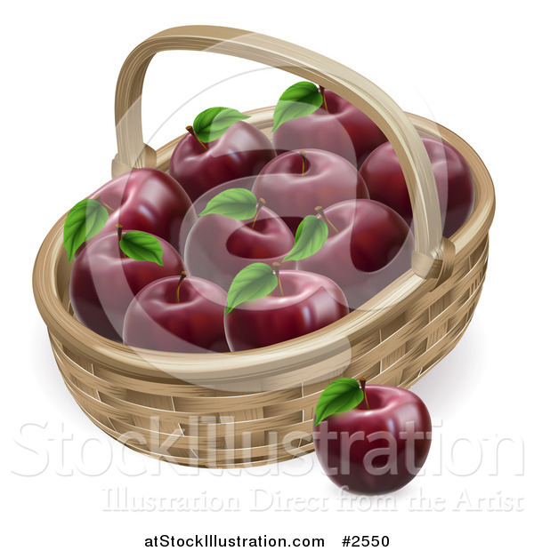 Vector Illustration of a 3d Basket Full of Deep Red Apples