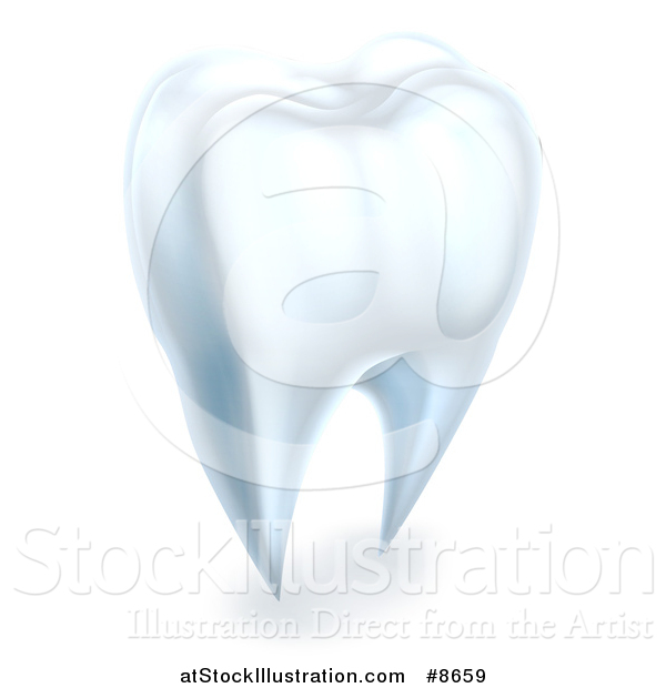 Vector Illustration of a 3d Human Tooth