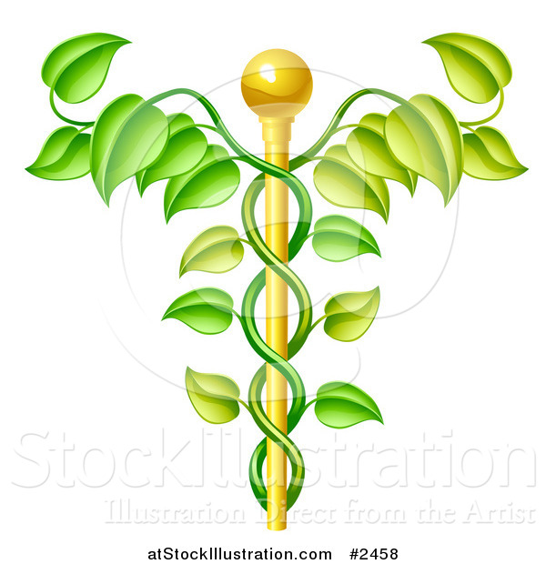 Vector Illustration of a 3d Natural Vine and Gold Staff Caduceus