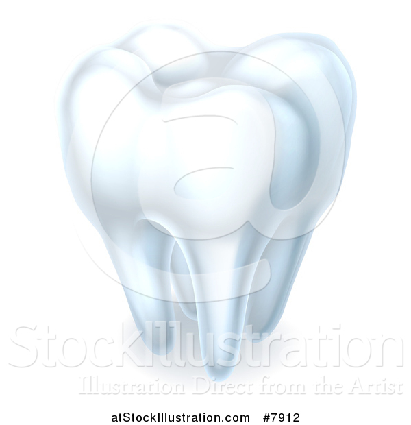 Vector Illustration of a 3d Shiny White Tooth with Shading