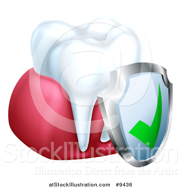 Vector Illustration of a 3d White Tooth and Gums with a Protective Dental Shield