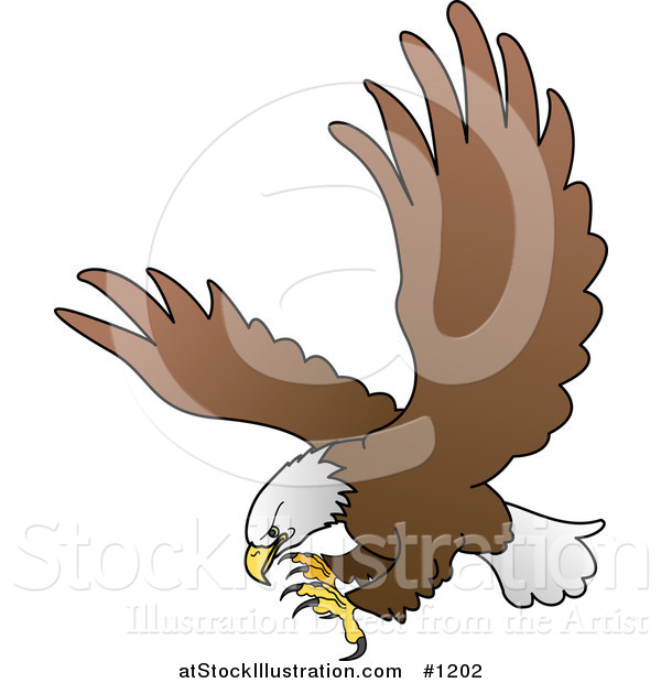 Vector Illustration of a Bald Eagle in Flight, Extending His Talons While Preparing to Grasp Prey