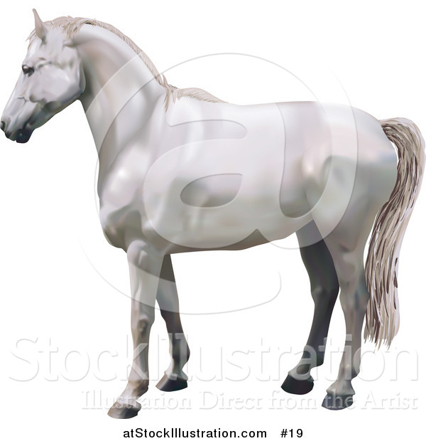 Vector Illustration of a Beautiful White Horse in Profile