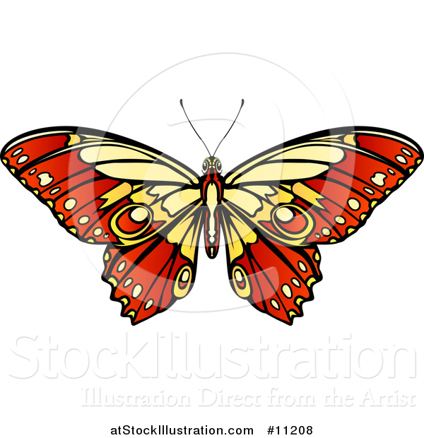 Vector Illustration of a Beautiful Yellow and Red Butterfly or Moth