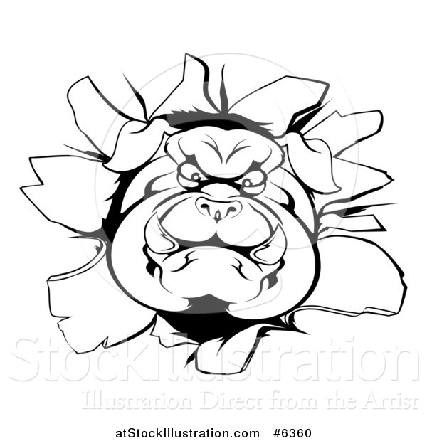 Vector Illustration of a Black and White Aggressive Bulldog Breaking Through a Wall