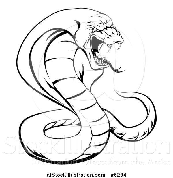 Vector Illustration of a Black and White Aggressive Cobra Snake Ready to Strike