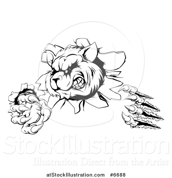 Vector Illustration of a Black and White Aggressive Raccoon Monster Shredding Through a Wall