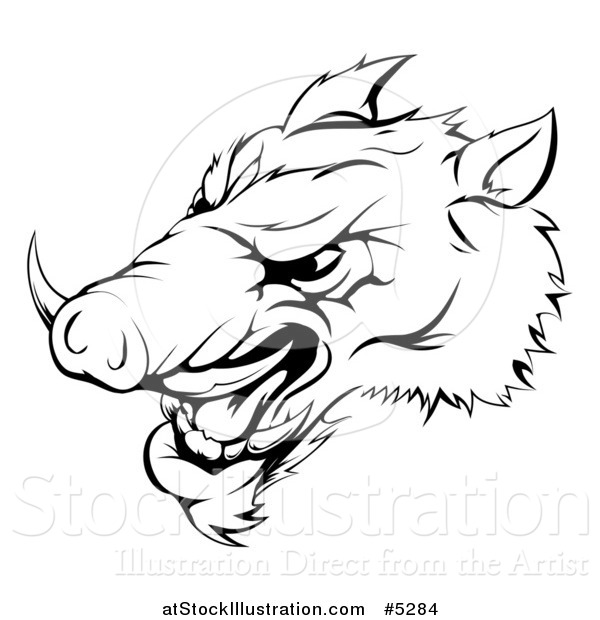 Vector Illustration of a Black and White Aggressive Razorback Boar Sports Mascot