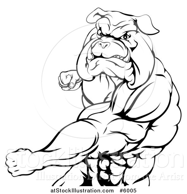 Vector Illustration of a Black and White Angry Muscular Bulldog Man Punching