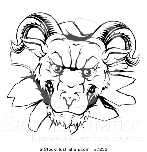 Vector Illustration of a Black and White Angry Snarling Ram Breaking Through a Wall