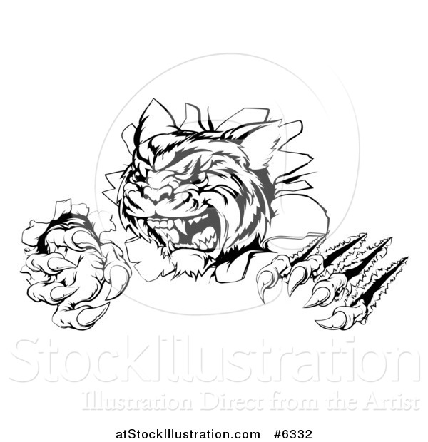 Vector Illustration of a Black and White Angry Tiger Mascot Slashing Through a Wall