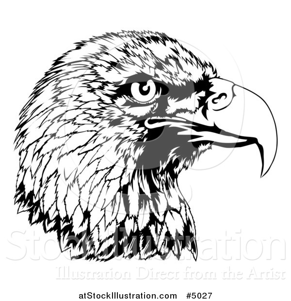 Vector Illustration of a Black and White Bald Eagle Head in Profile