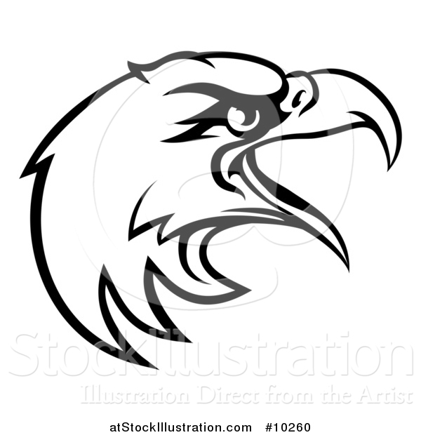 Vector Illustration of a Black and White Bald Eagle Mascot Head