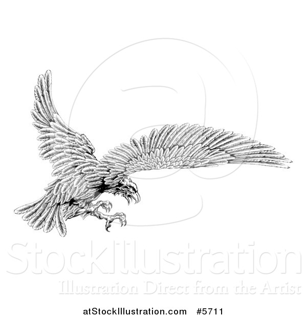 Vector Illustration of a Black and White Eagle Flying with Talons out