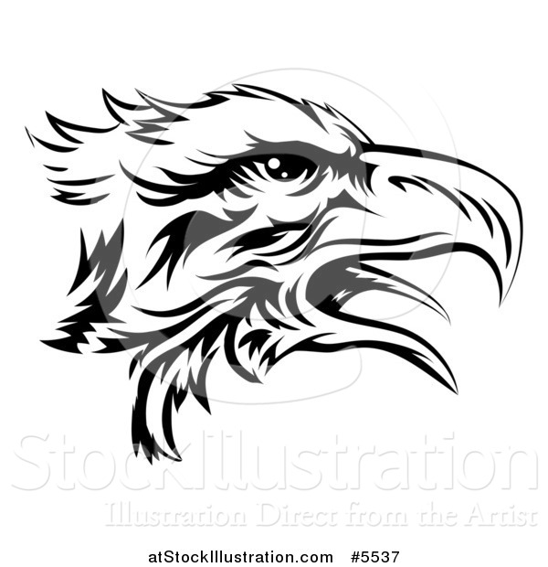 Vector Illustration of a Black and White Eagle Head in Profile