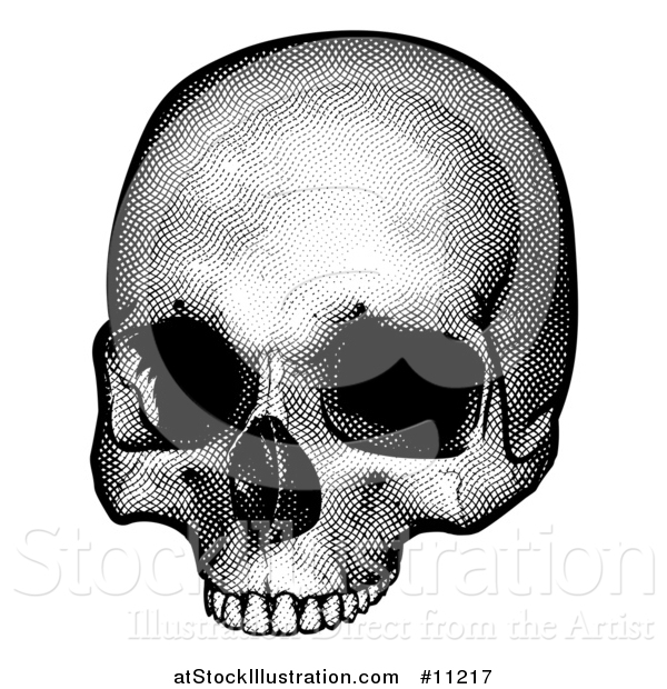 Vector Illustration of a Black and White Engraved Human Skull