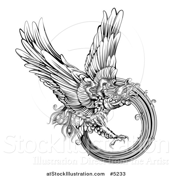 Vector Illustration of a Black and White Engraved Majestic Phoenix Bird Flying