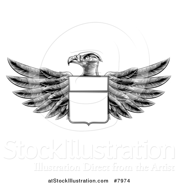 Vector Illustration of a Black and White Engraved or Woodcut Heraldic Coat of Arms American Bald Eagle with a Shield