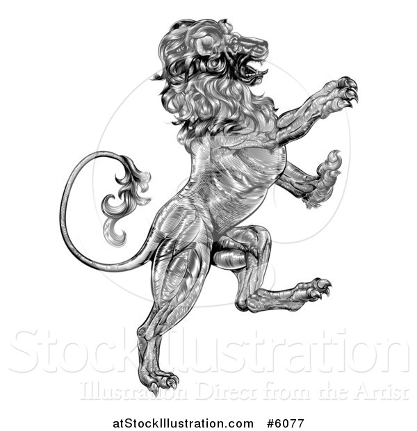 Vector Illustration of a Black and White Engraved Vintage Rampant Lion