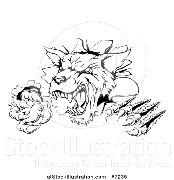 Vector Illustration of a Black and White Ferocious Wolf Slashing and Breaking Through a Wall 2