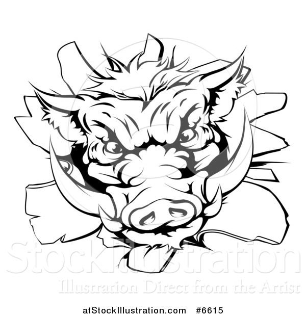 Vector Illustration of a Black and White Fierce Boar Head Breaking Through a Wall