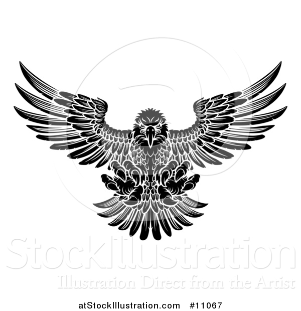 Vector Illustration of a Black and White Fierce Swooping Bald Eagle with Talons Extended, Flying Forward