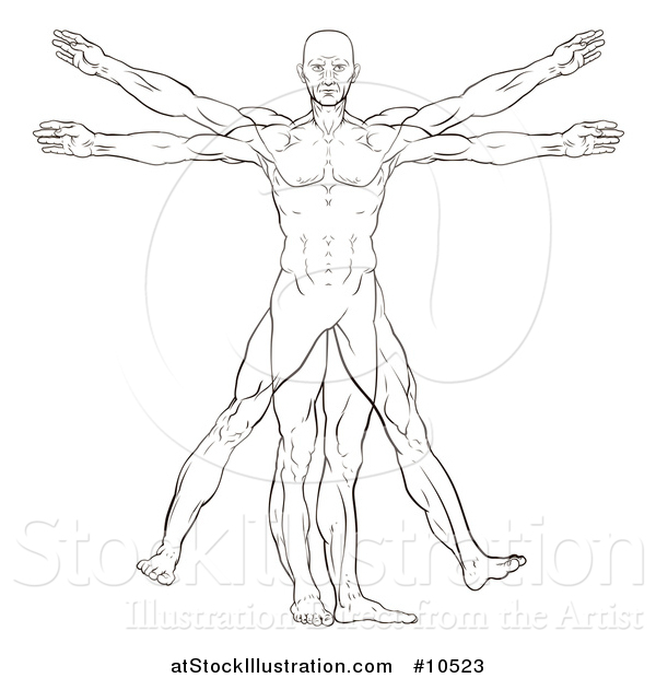 Vector Illustration of a Black and White Leonard Da Vinci Vitruvian Man