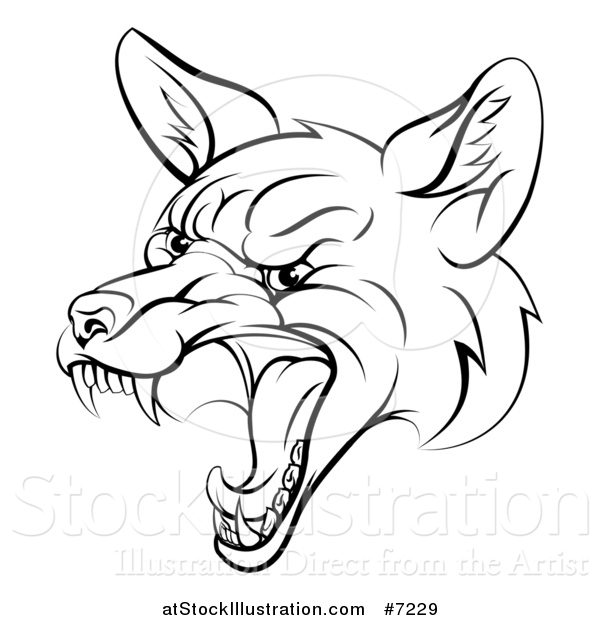 Vector Illustration of a Black and White Mad Fox Face