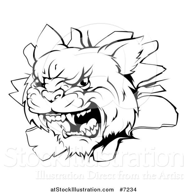 Vector Illustration of a Black and White Mad Wildcat Mascot Head Breaking Through a Wall