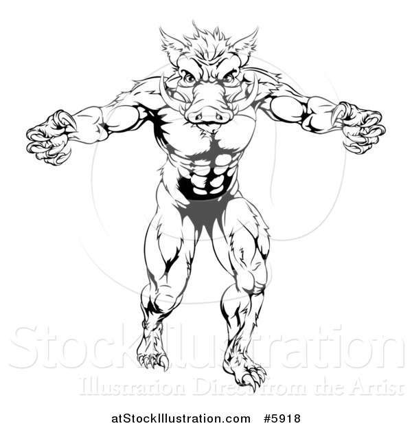 Vector Illustration of a Black and White Muscular Aggressive Boar Man Mascot Attacking