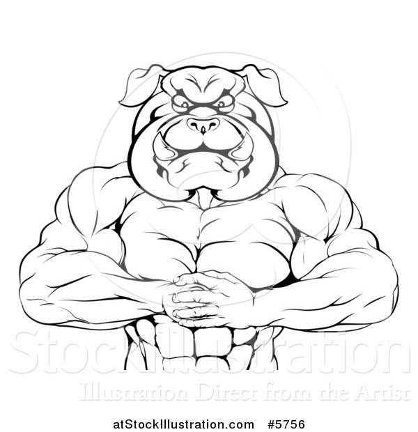 Vector Illustration of a Black and White Muscular Bulldog Man Punching One Fist into a Palm
