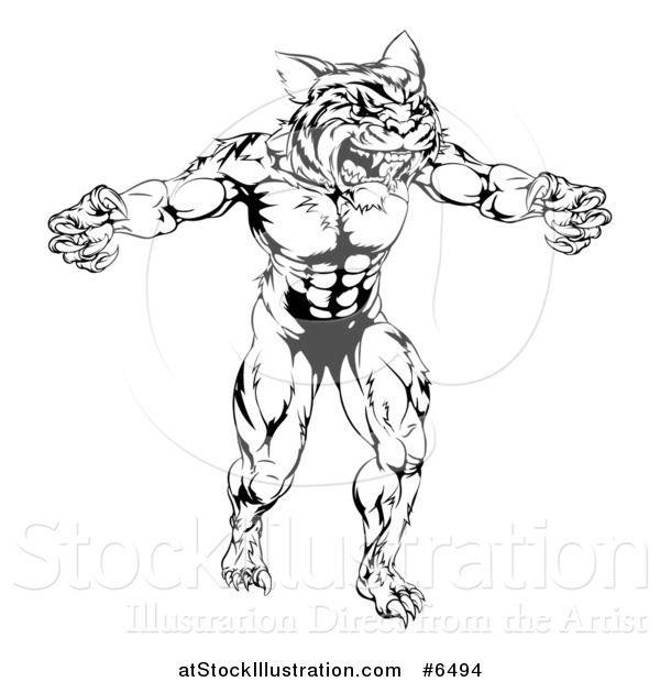 Vector Illustration of a Black and White Muscular Fierce Tiger Man Attacking