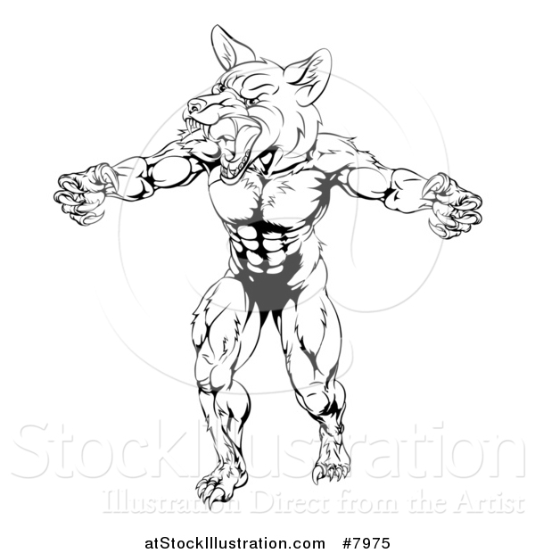 Vector Illustration of a Black and White Muscular Fox Man Mascot Lunching Forward to Attack