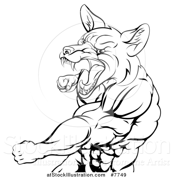 Vector Illustration of a Black and White Muscular Fox Man Mascot Punching from the Hips up
