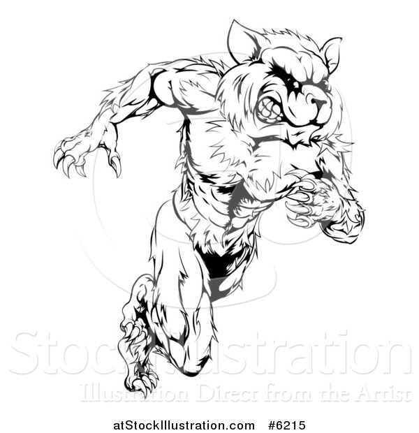 Vector Illustration of a Black and White Muscular Raccoon Man Mascot Running Upright