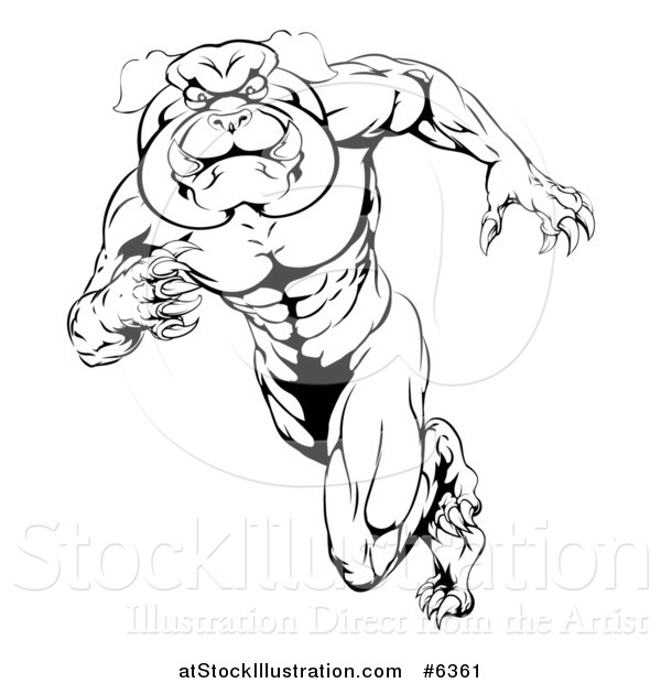 Vector Illustration of a Black and White Muscular Tough Bulldog Man Mascot Sprinting Upright