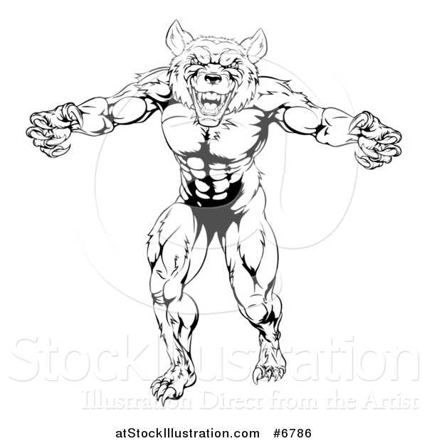 Vector Illustration of a Black and White Muscular Wolf Man Mascot Standing in a Threatening Stance