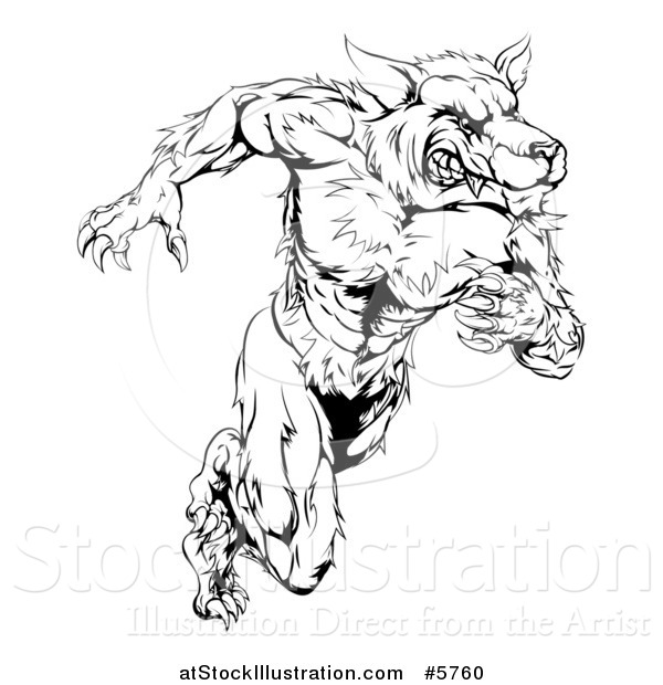 Vector Illustration of a Black and White Muscular Wolf Man Running Upright