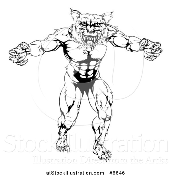 Vector Illustration of a Black and White Muscular Wolf Mascot Standing in a Threatening Stance