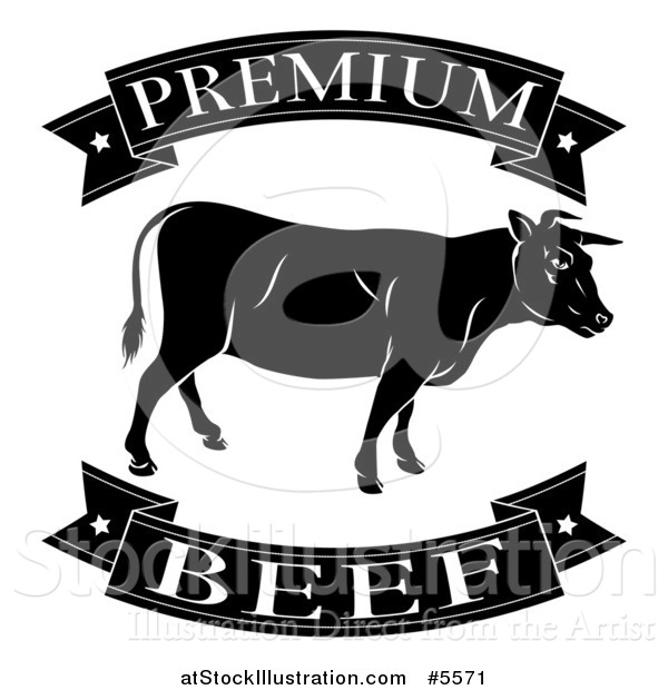 Vector Illustration of a Black and White Premium Beef Food Banners and Cow
