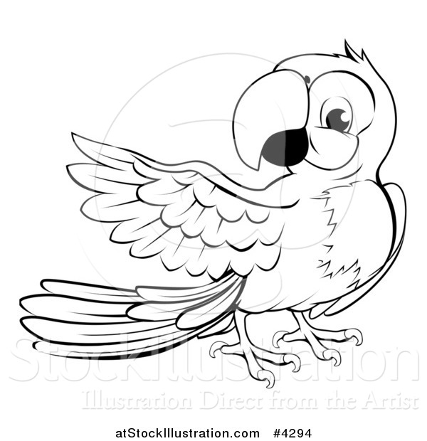 Vector Illustration of a Black and White Presenting Macaw Parrot