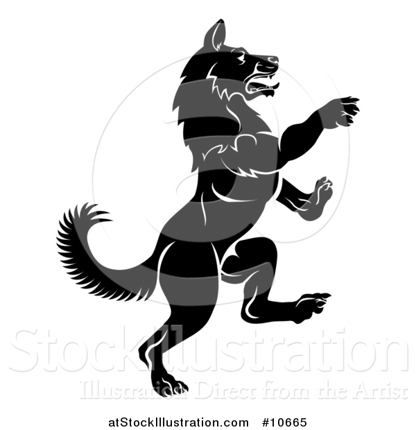 Vector Illustration of a Black and White Rearing Rampant Dog