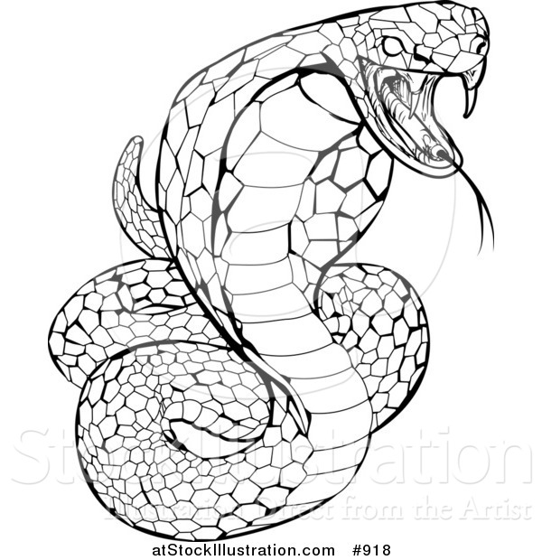 Vector Illustration of a Black and White Striking Venomous Cobra Snake