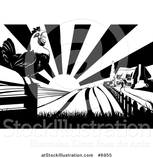 Vector Illustration of a Black and White Sunrise over a Farm House, a Crowing Rooster and Fields