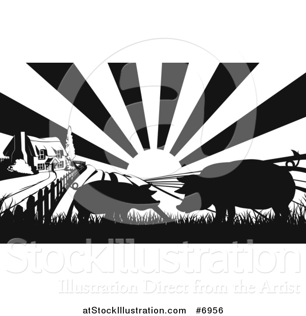 Vector Illustration of a Black and White Sunrise over a Farm House with Silhouetted Pigs and Fields