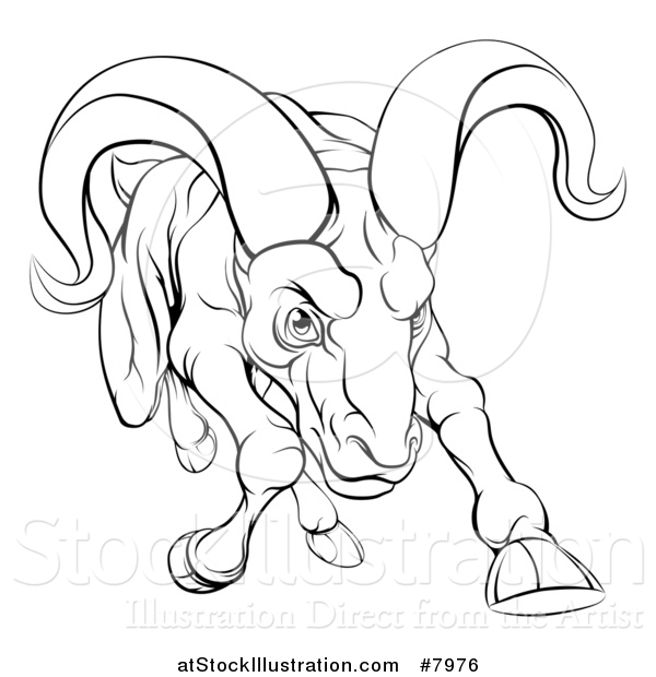 Vector Illustration of a Black and White Tough Angry Ram Sheep Charging Forward