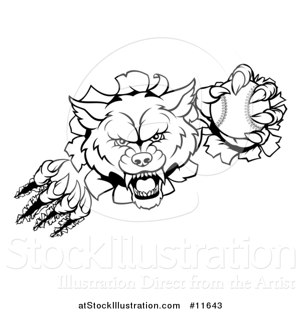 Vector Illustration of a Black and White Tough Wolf Mascot Breaking Through a Wall and Holding a Baseball
