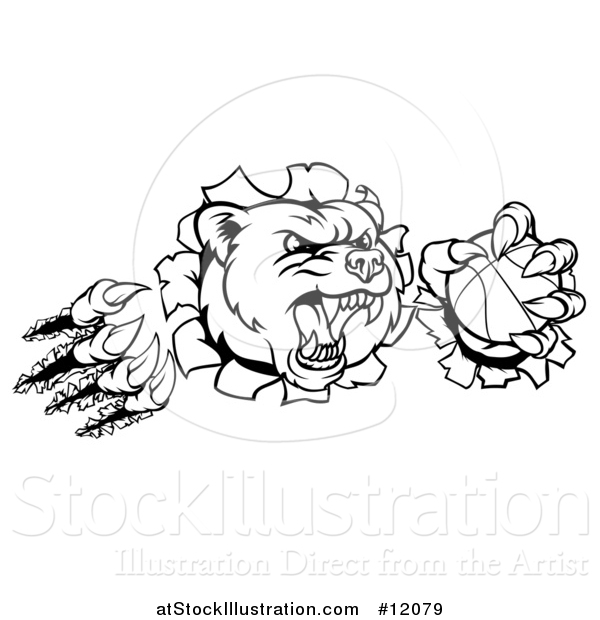 Vector Illustration of a Black and White Vicious Aggressive Bear Mascot Slashing Through a Wall with a Basketball in a Paw